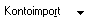 Finanzbuchhaltung Buchen Kontoimport dd.png